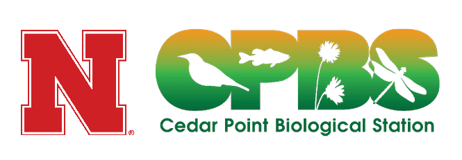 University of Nebraska Foundation logo